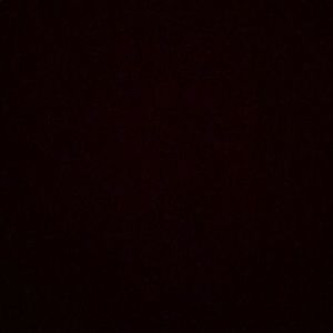 Meet your Posher, Bailey